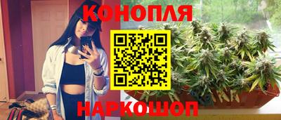 прущие грибы Ангарск