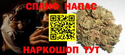 прущие грибы Ангарск