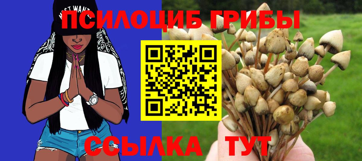 Псилоцибиновые грибы Psilocybe Белово