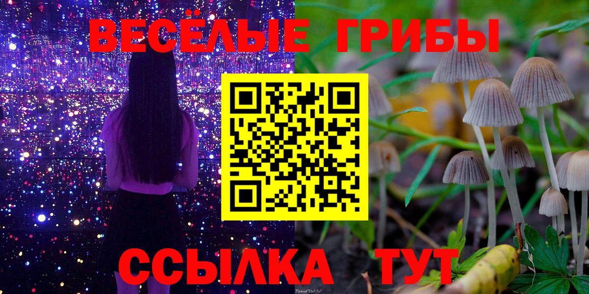 Галлюциногенные грибы Psilocybine cubensis  Вход с VPN  Белово 